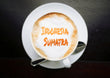 2 lbs Roasted Indonesia Sumatra Mandheling Coffee - Medium Roast - Suwanee Creek Roasters